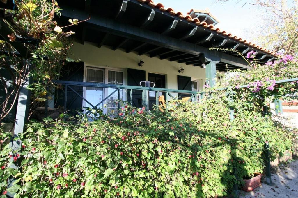 La Casa De Gene Ruilobuca Exterior foto
